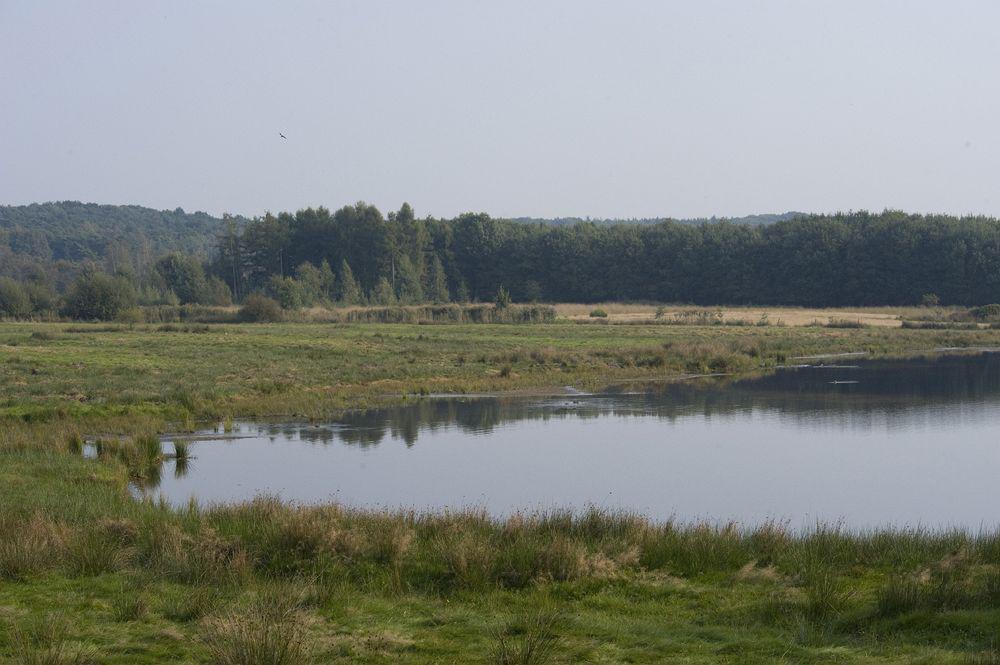 Fletcher Landhotel Bosrijk Roermond Kültér fotó